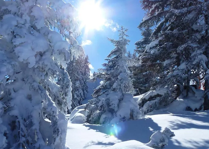 Lejlighed Untergumpold Wagrain