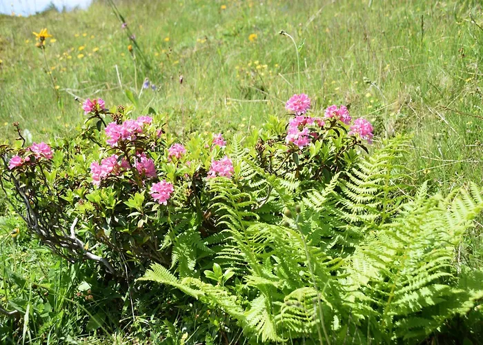 Untergumpold Apartmán *